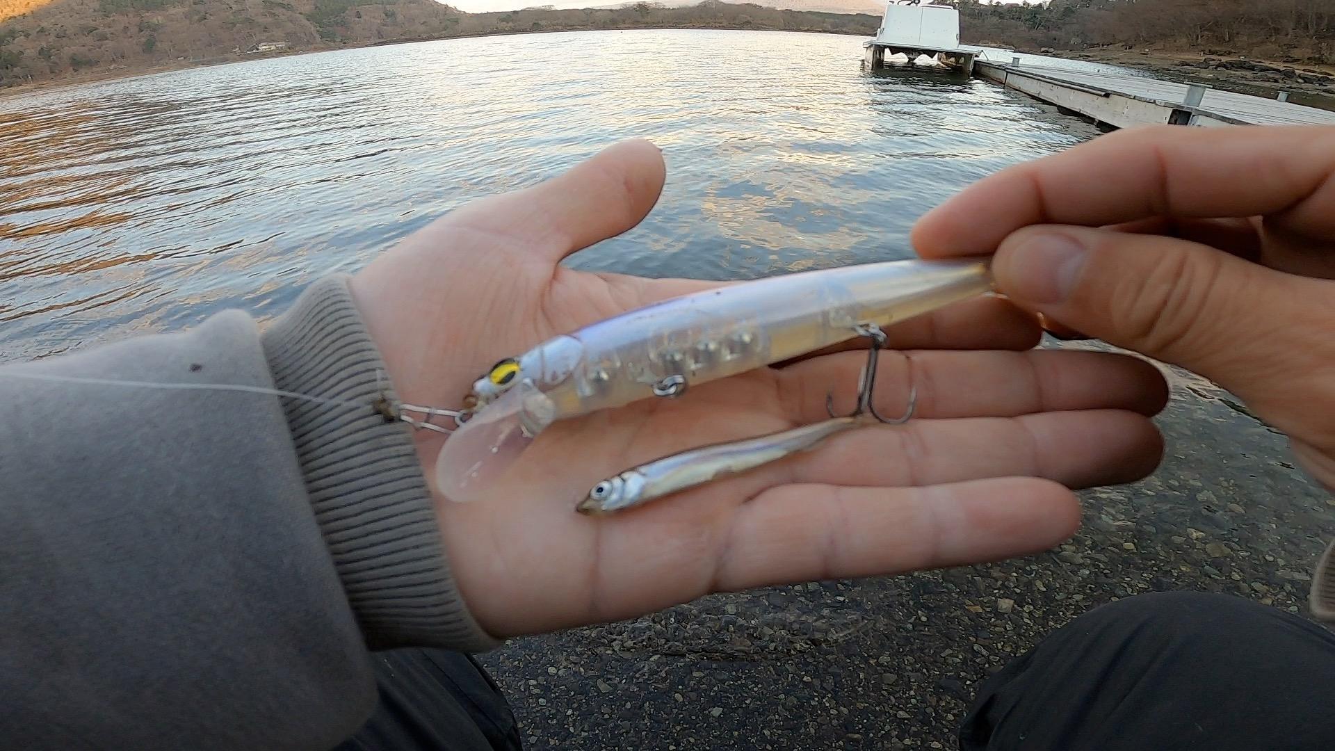 ずーっと魚が釣れなかったのですがこのルアー使ったら釣れました