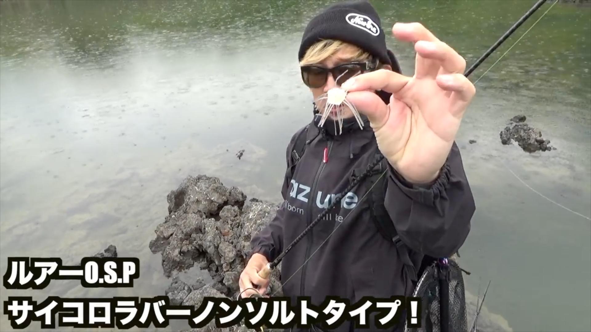OSP サイコロラバー KDパープルウィニー　6個　限定カラー O.S.P Official على X: 