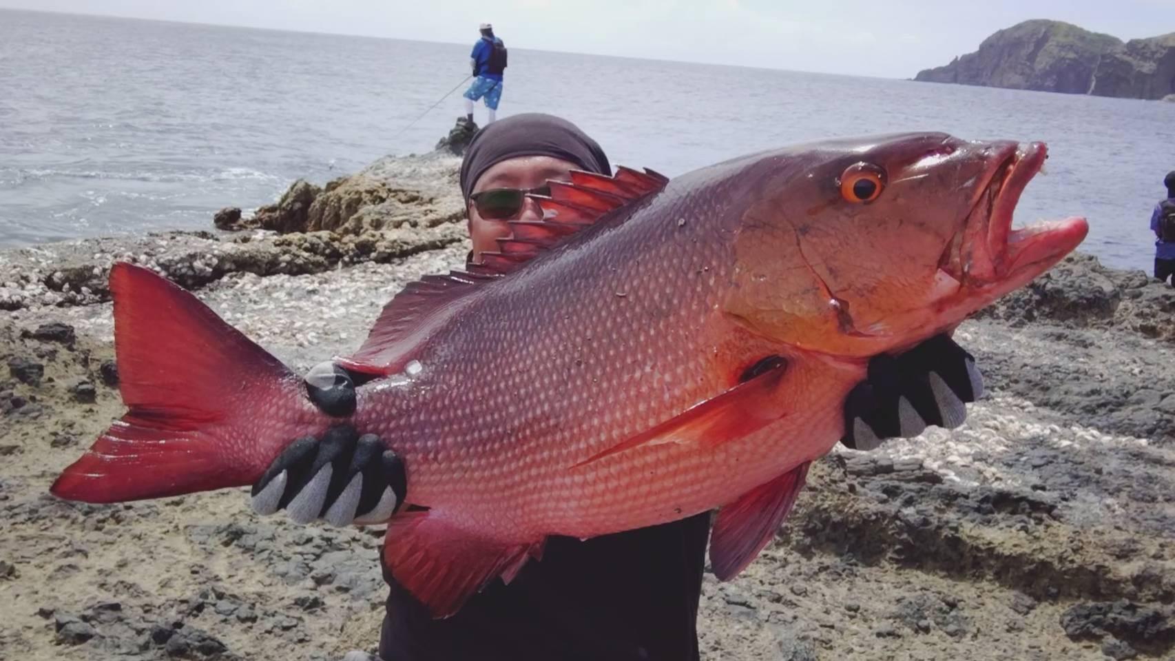 スペモンスペースモンキーズTV ジョイクロ オリカラ　ガンクラフト JOINTED CLAW178［ゆめぎんがパラダイス］ スペースモンキーズTV