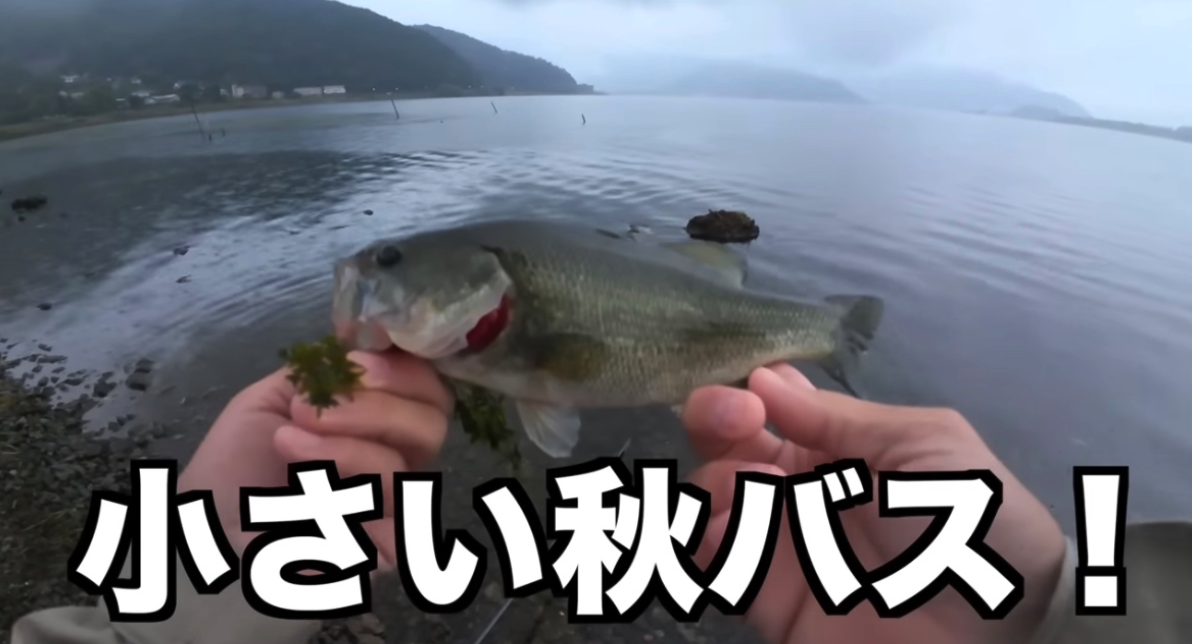 バス釣り ルアーマガジン』2021年5月号 バス釣りベスト10 | 株式会社 内外出版社