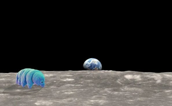 月面で散歩しているクマムシのイメージ©Shutterstock/NASA