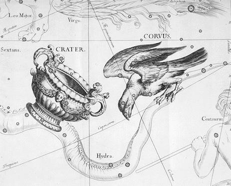 1690年に出版されたヨハネス・ヘヴェリウスの Firmamentum Sobiescianum, sive Uranographia に描かれたコップ座とからす座　出典：Wikipedia