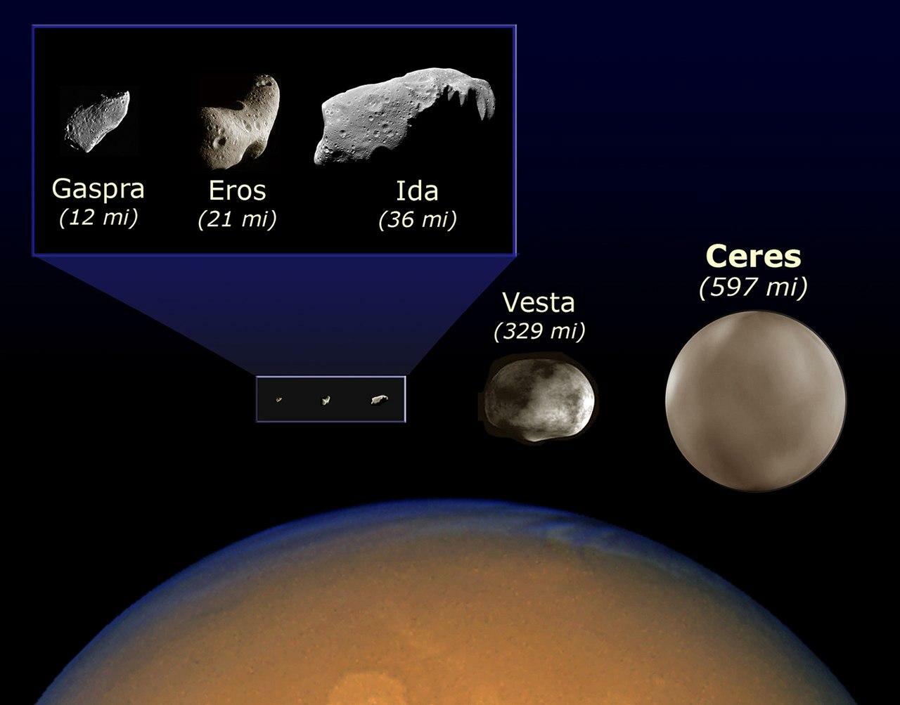 小惑星の形と大きさ　出典：NASA