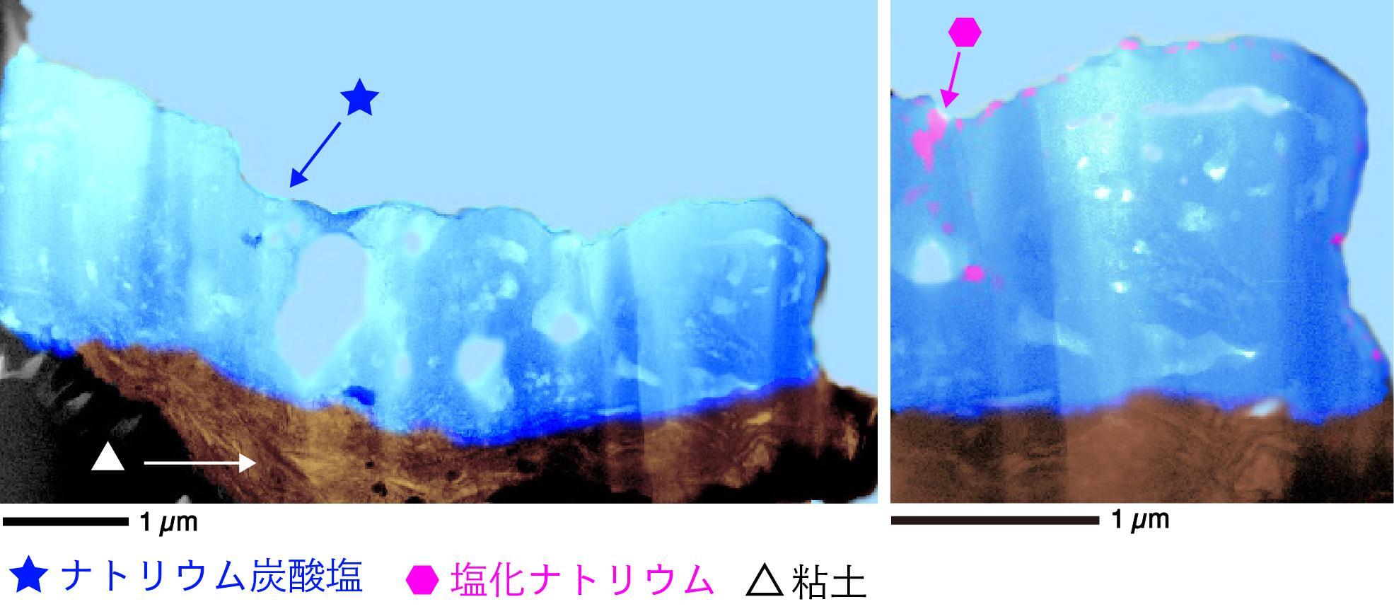 ナトリウム炭酸塩脈の断面の詳細な様子 出典：京都大学