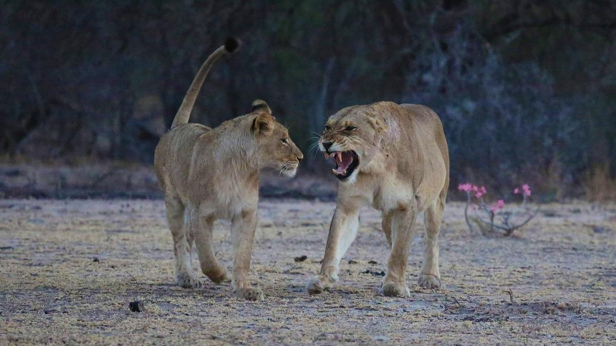 自信が持てない人へ。ヘンリー・フォードの名言「成功の鍵は