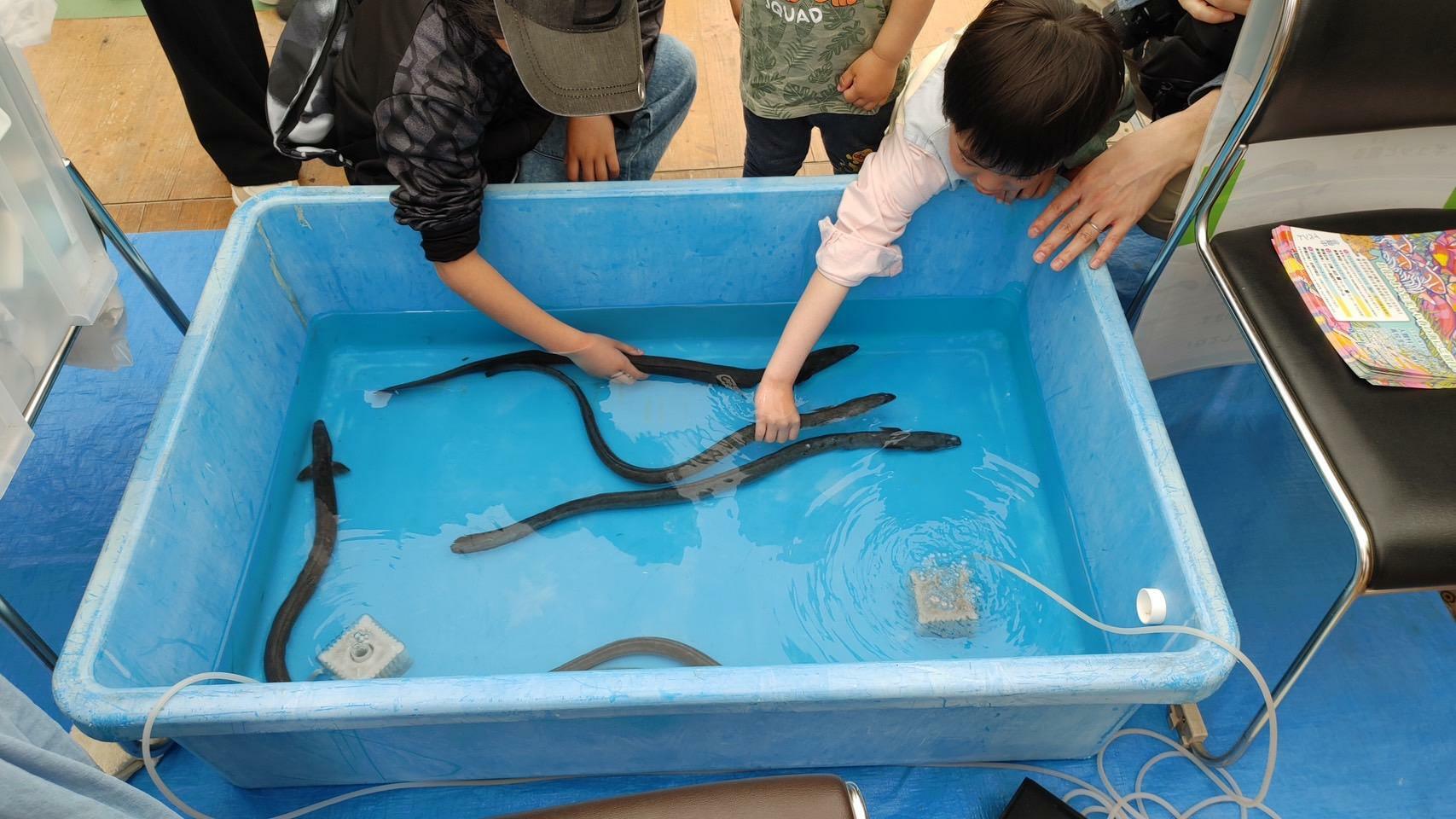 写真はイメージです／写真提供：浜松・浜名湖ツーリズムビューロー