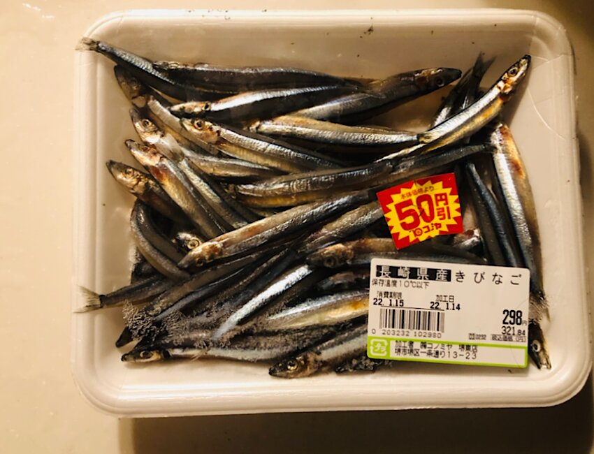 スーパーの割引食材でも魚は十分に釣れる