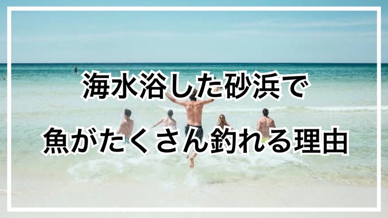 意外と知らない」海水浴した砂浜で魚がたくさん釣れる理由（タビカツリチャンネル） - エキスパート - Yahoo!ニュース