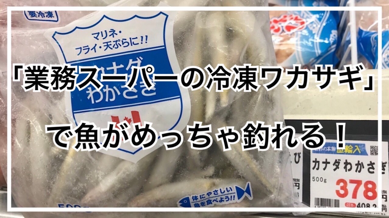 業務スーパーの冷凍わかさぎ」でめっちゃ魚が釣れるんです！（タビ