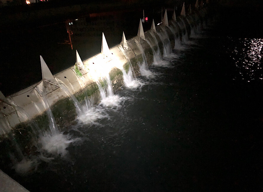 雨が降ったあとの堰堤の落ち込み部分は最高のポイント