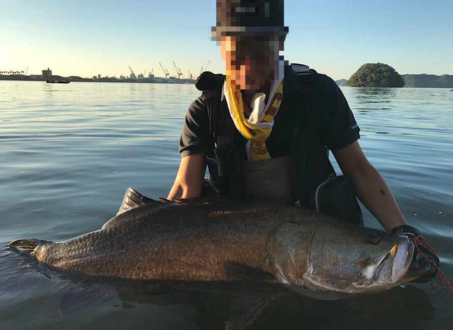 高知県で釣った113cmのアカメ