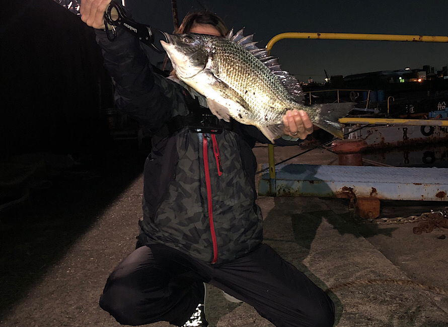 大阪湾奥の工業地帯で釣ったチヌ