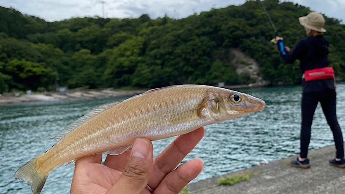 夏は釣りに行こう！】海釣り初心者に絶対おすすめできる釣り方3選