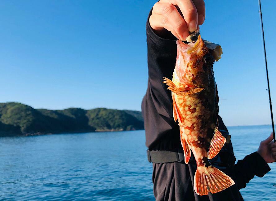 釣り】過去に思いついたとびきり優れたアイデアとその後【小ネタ