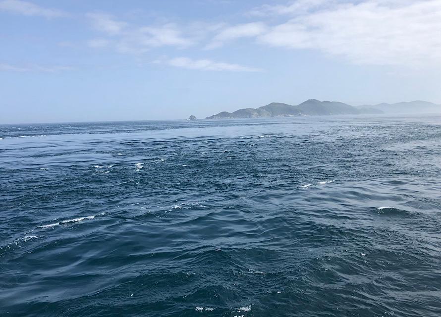 潮の流れが激流のエリアもある