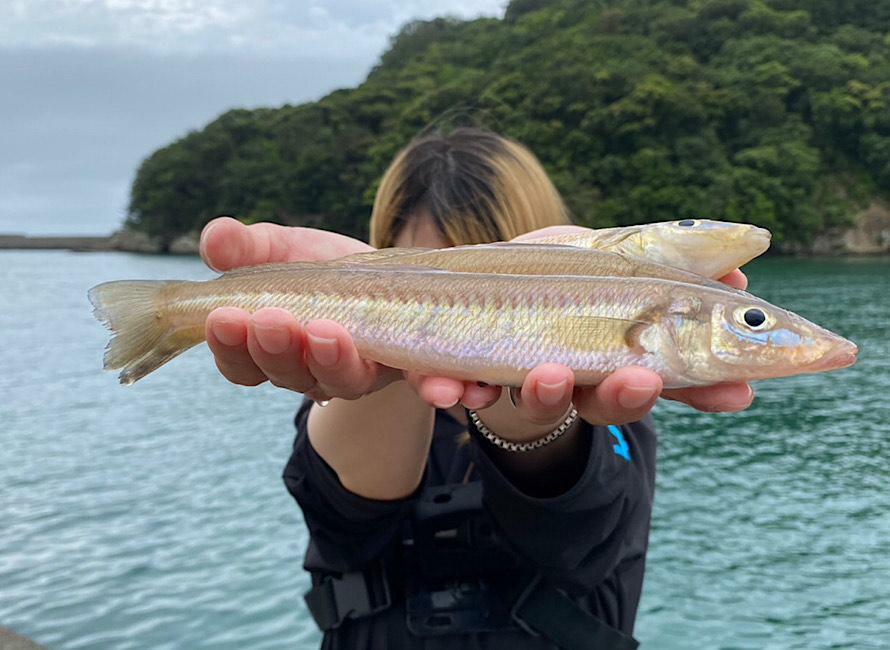 デカギスが釣れたとき