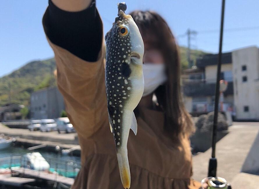 かわいい見た目のフグも実は口元は危険