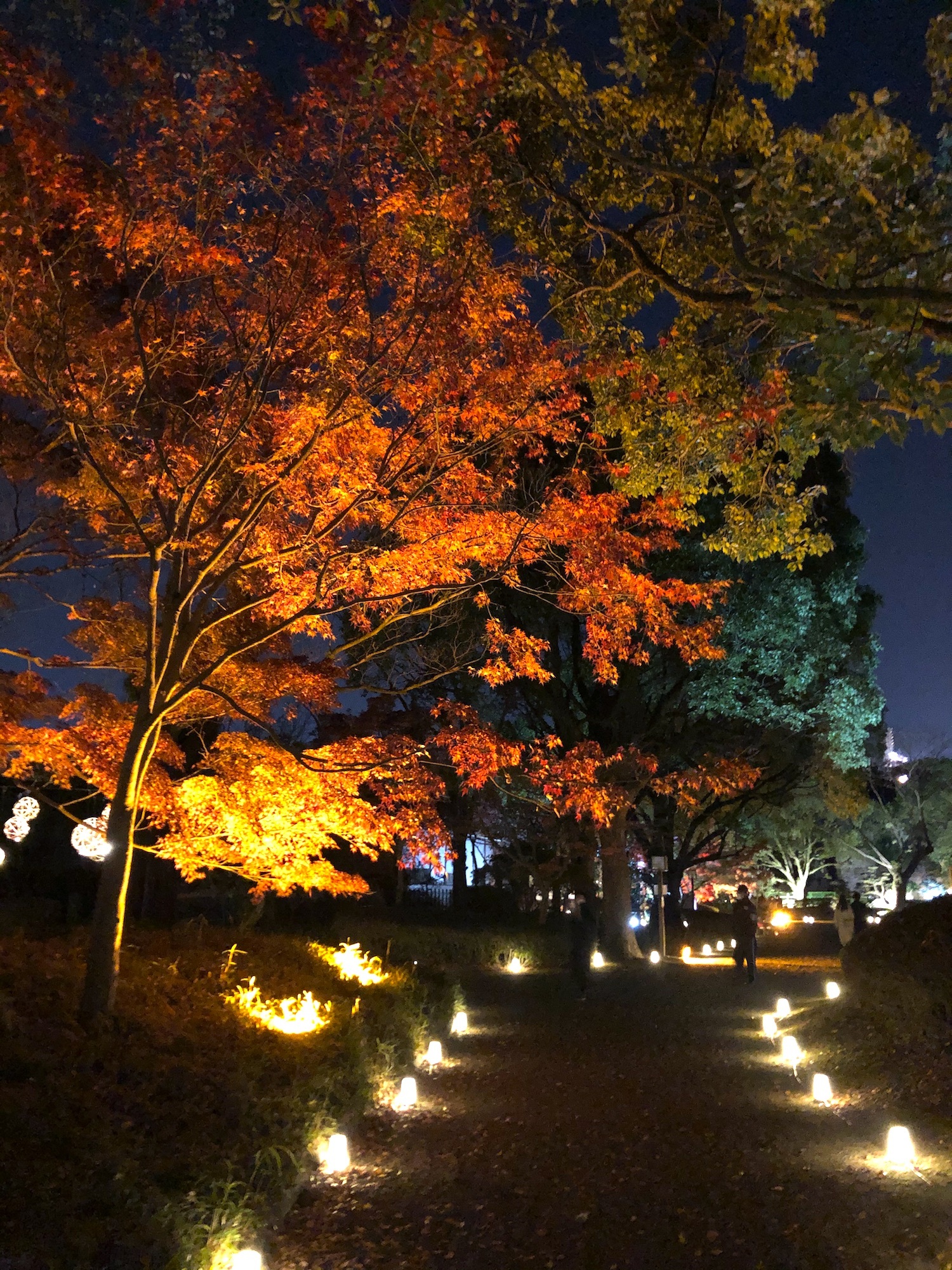 写真は2021年撮影(旅ムック編集部)