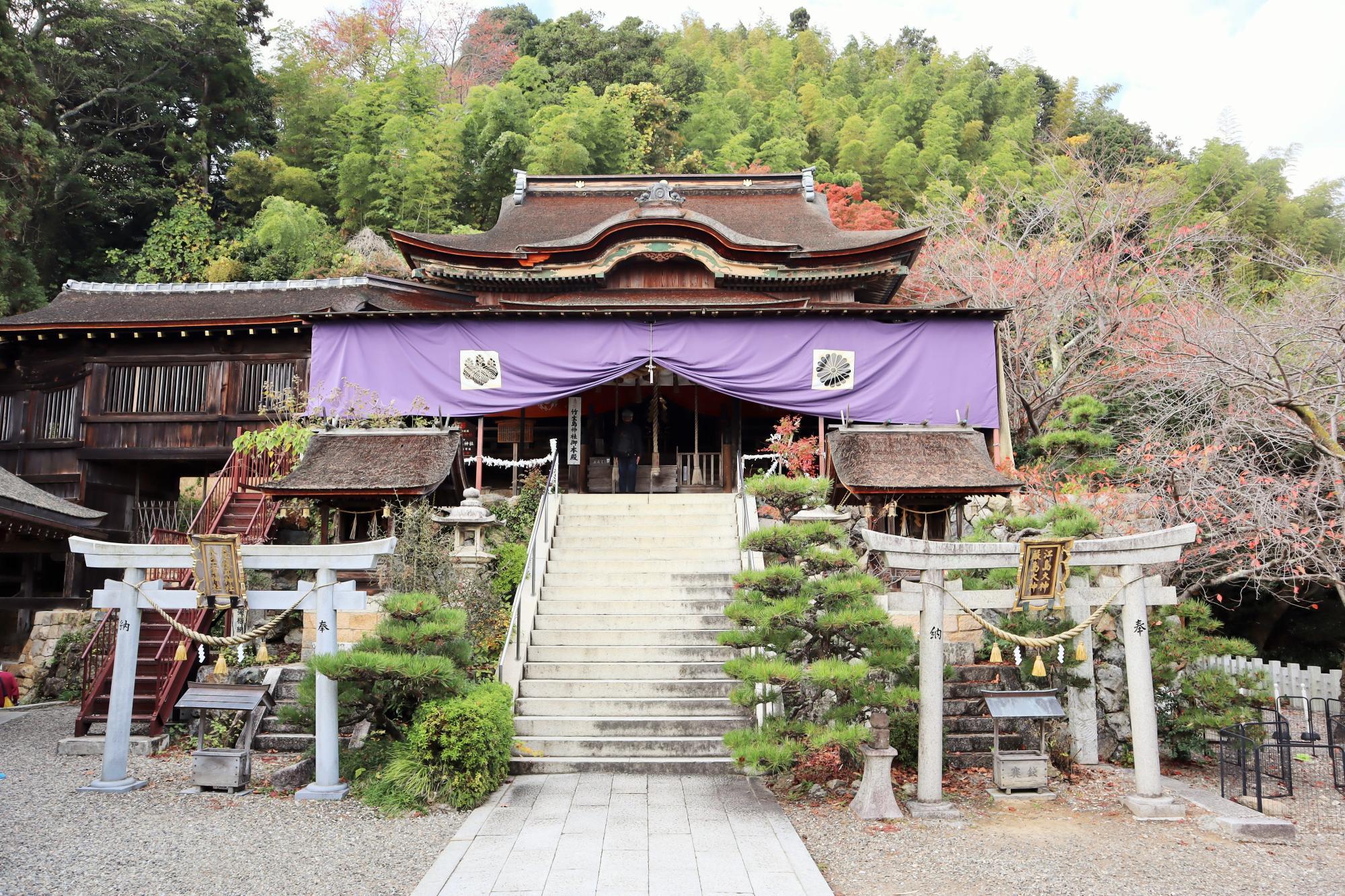 滋賀/竹生島】実は”亀の背中の上”だった!? 日本屈指のパワー 滋賀/竹生島】実は”亀の背中の上”だった!? 日本屈指のパワー