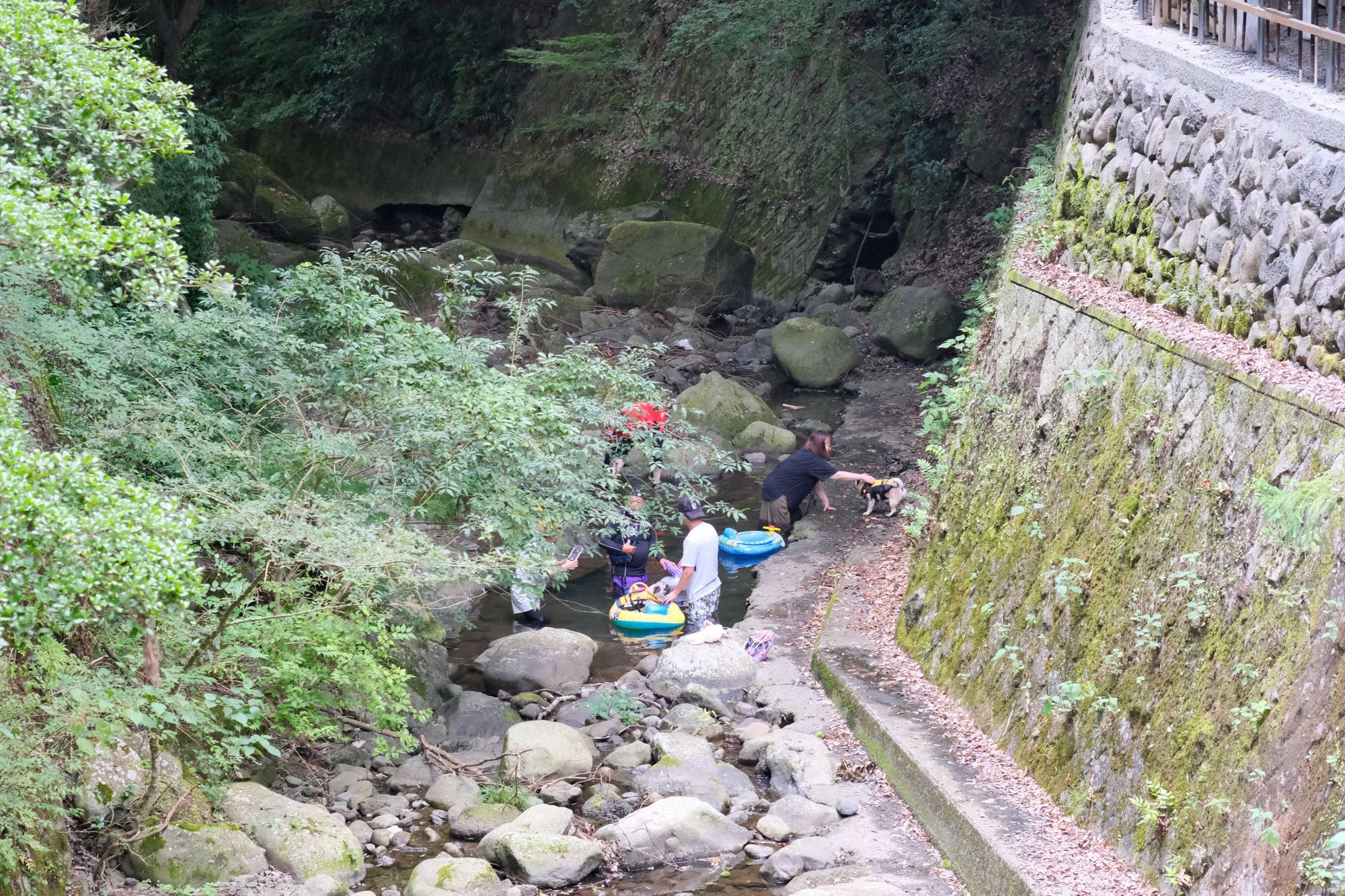 「川床スペース」の下で川遊びをされていたワンちゃん連れのご家族