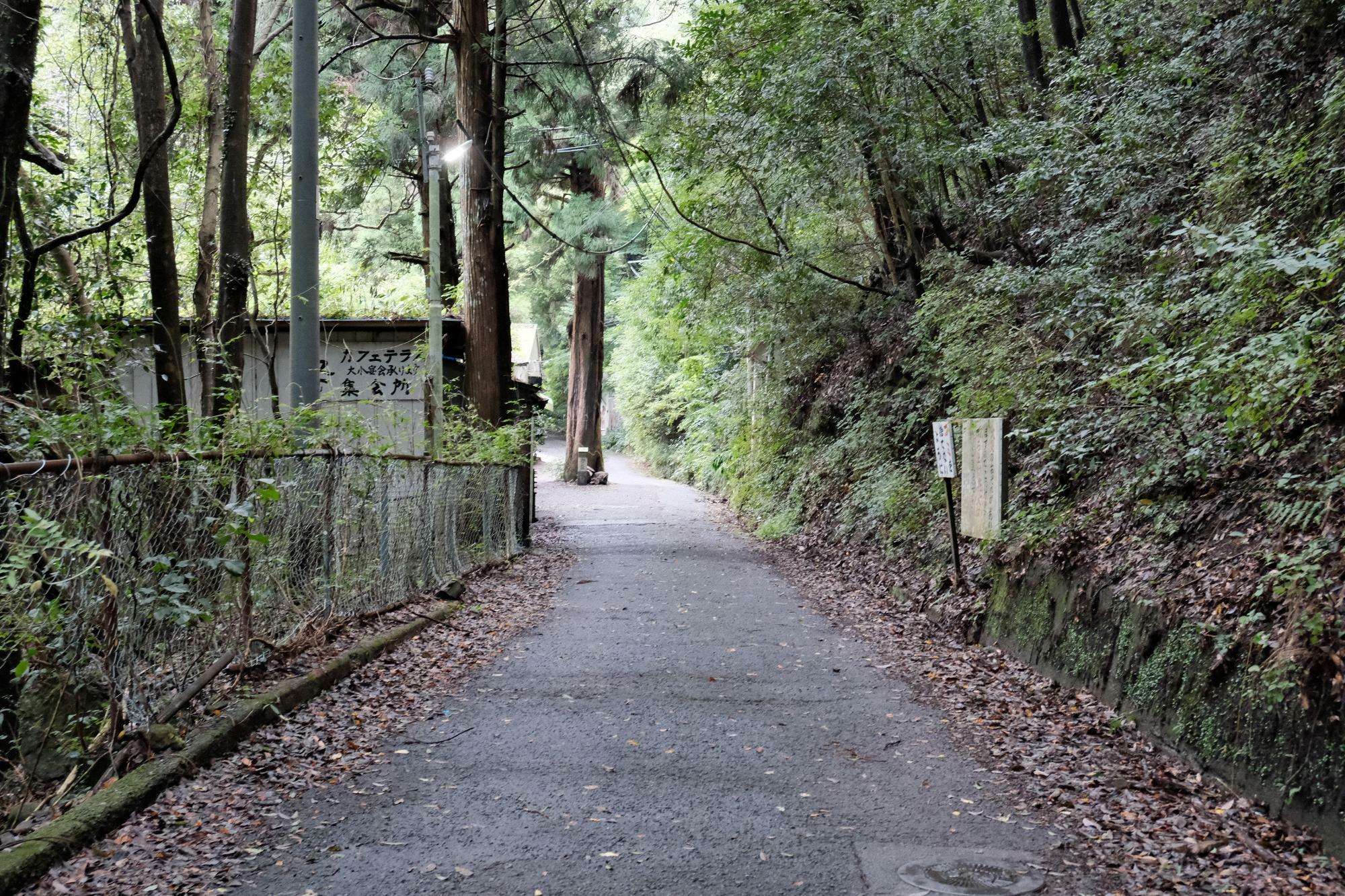 「大阪府みどりの百選」にも選ばれた犬鳴山。犬鳴山中には大小四十八滝があり、四季折々の美しい景観を楽しむことができます