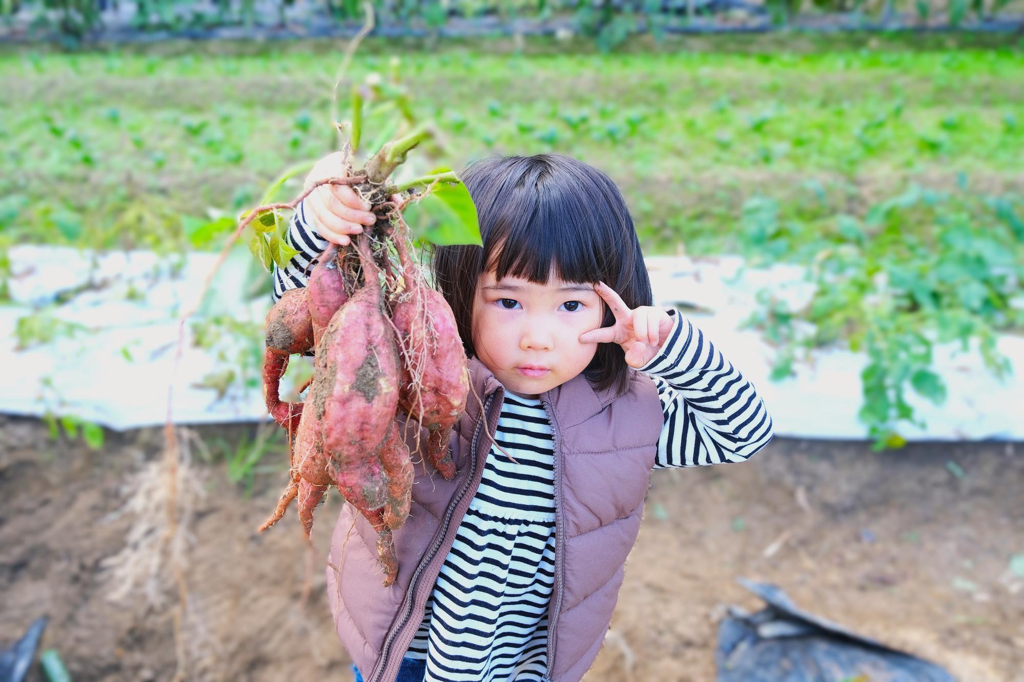 立派なさつまいも片手にピ～ス