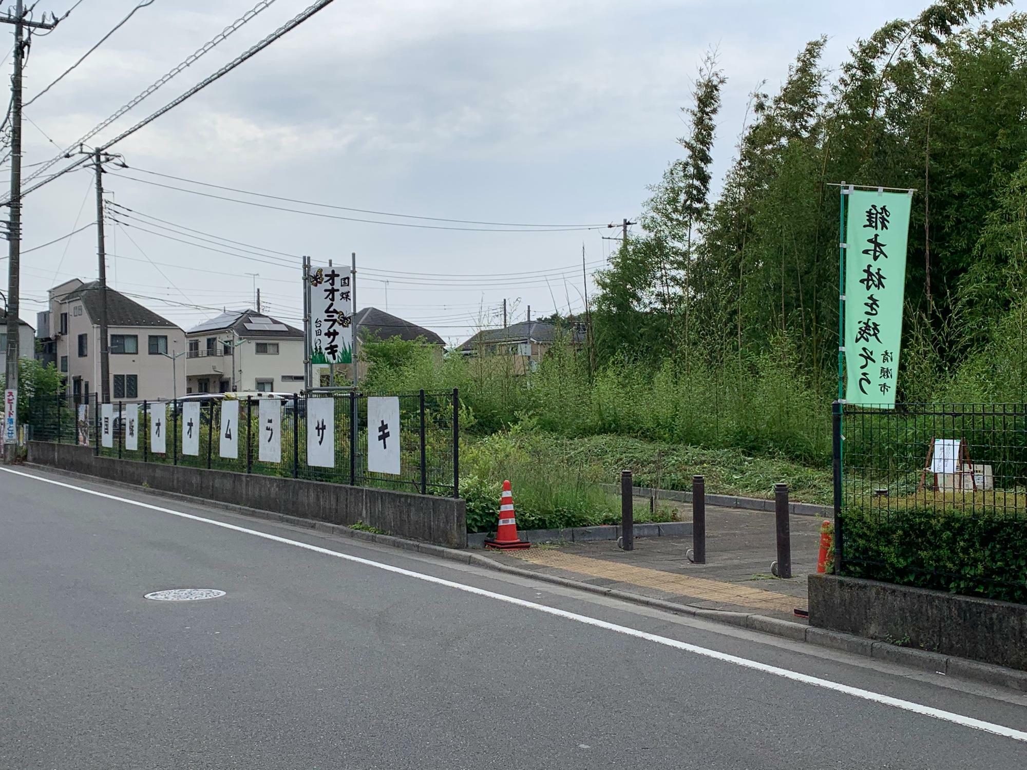 伊藤記念公園 台田の杜