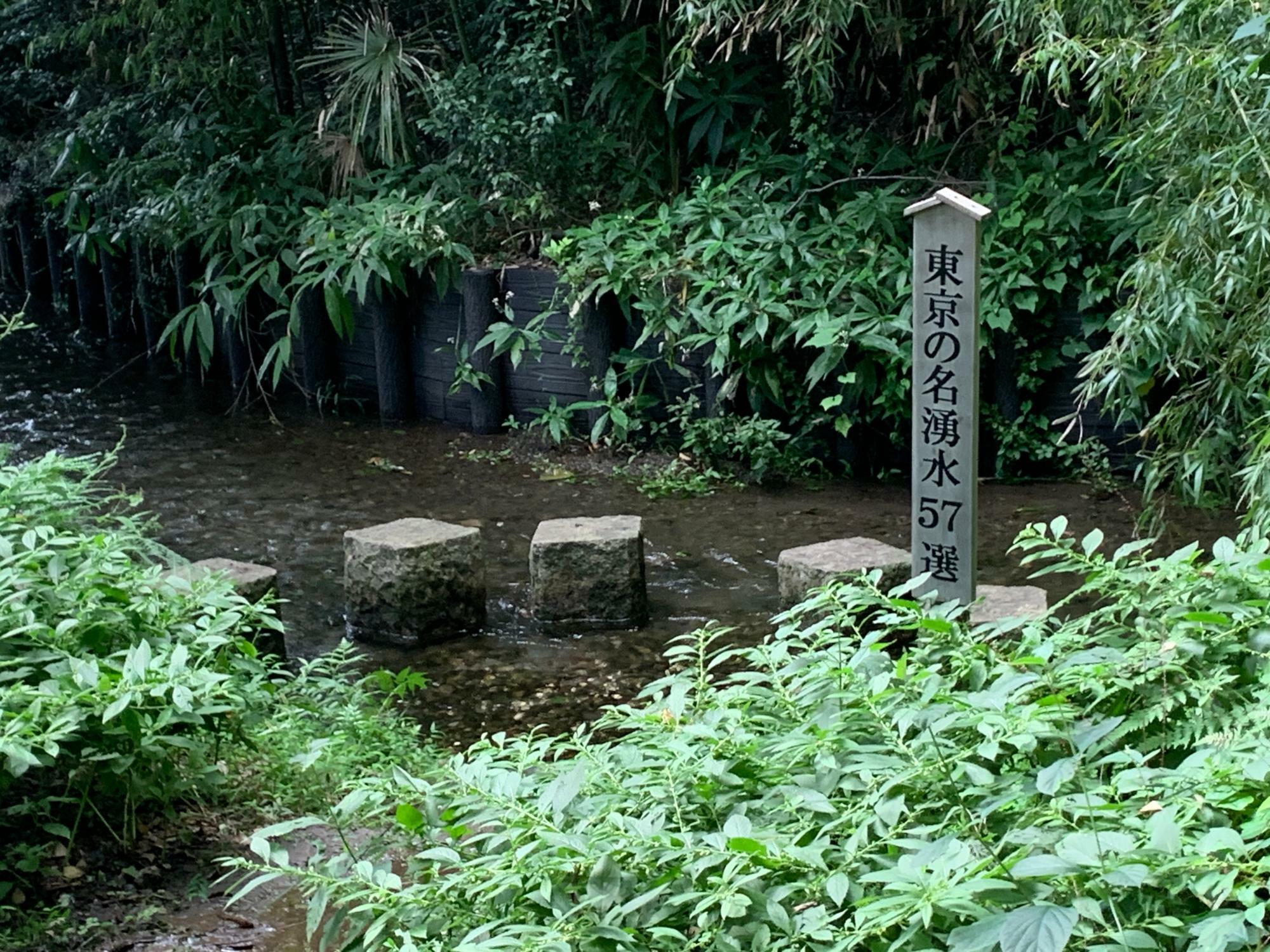 2024年9月5日（木）撮影