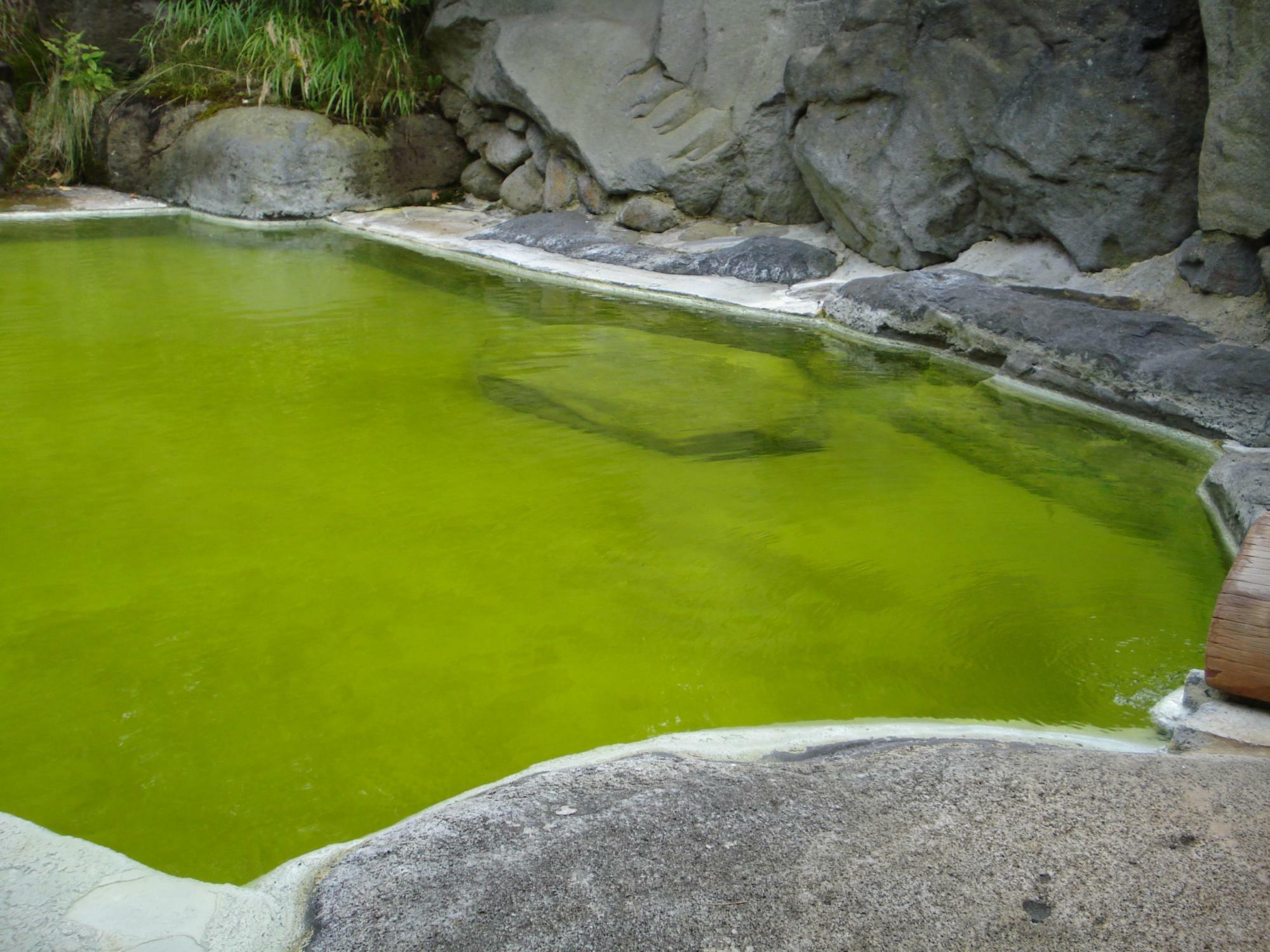 熊の湯ホテル