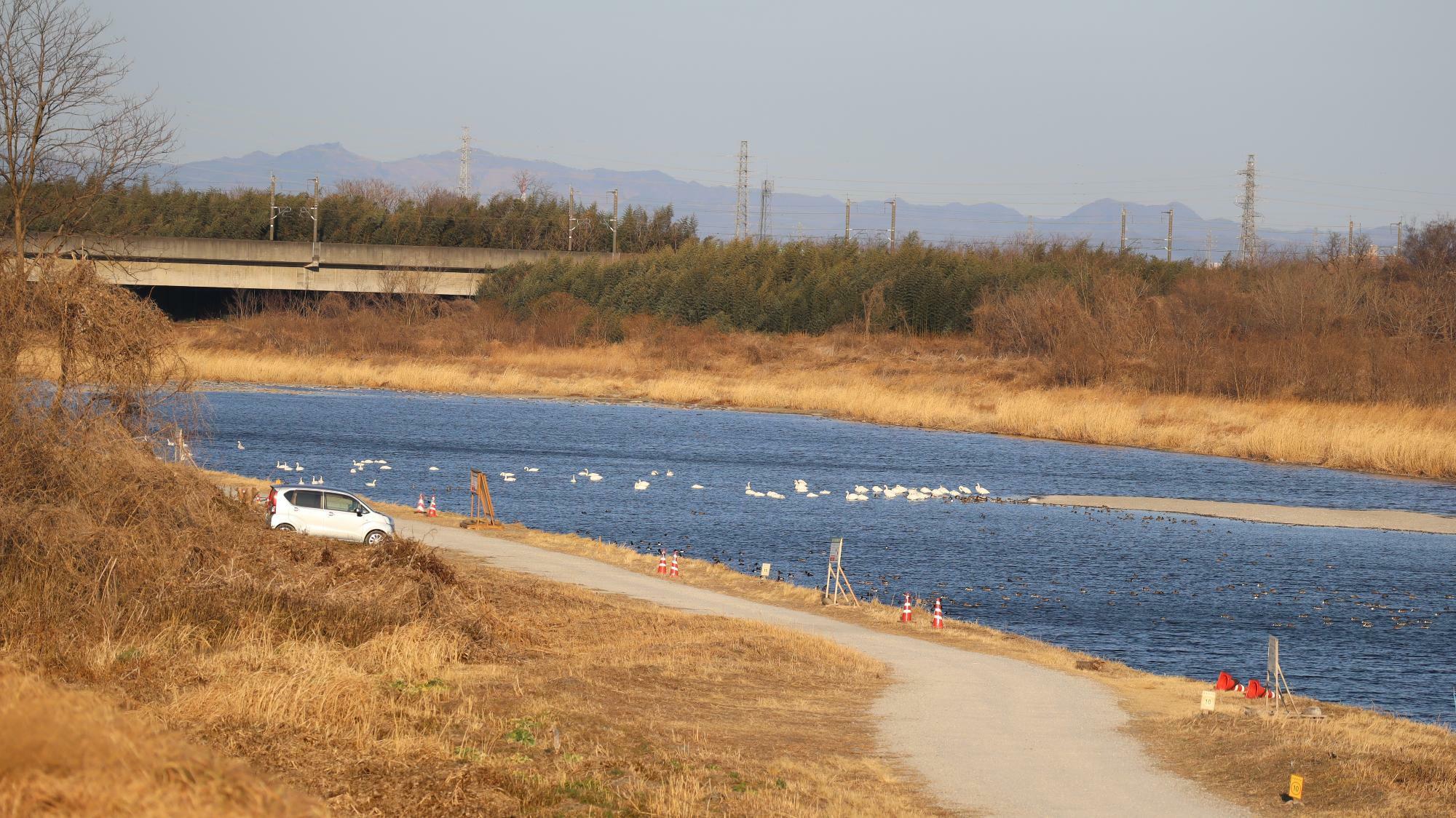 （河川敷の道は普通車は進入困難と思われます。ご注意ください）