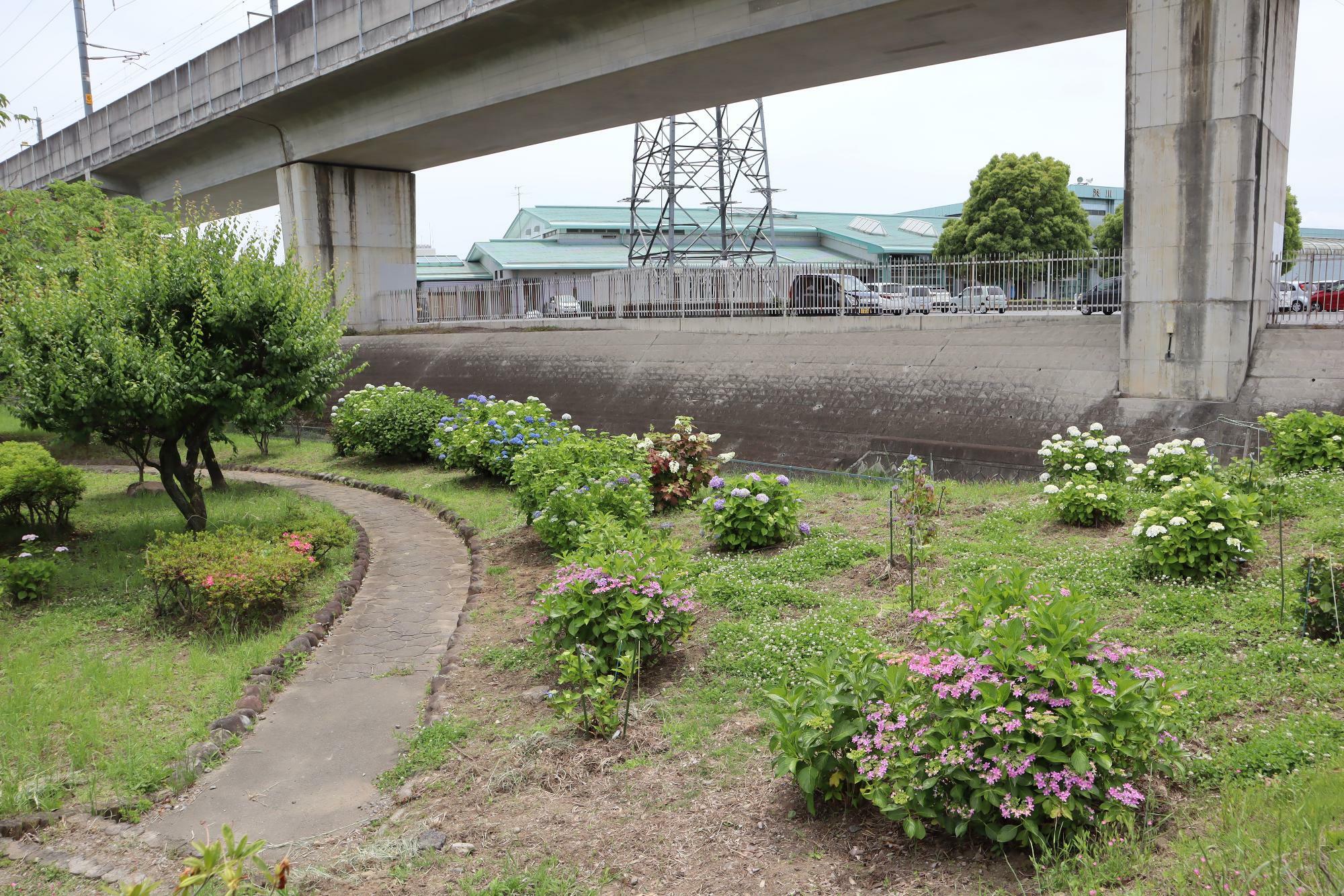 右：浜川プール