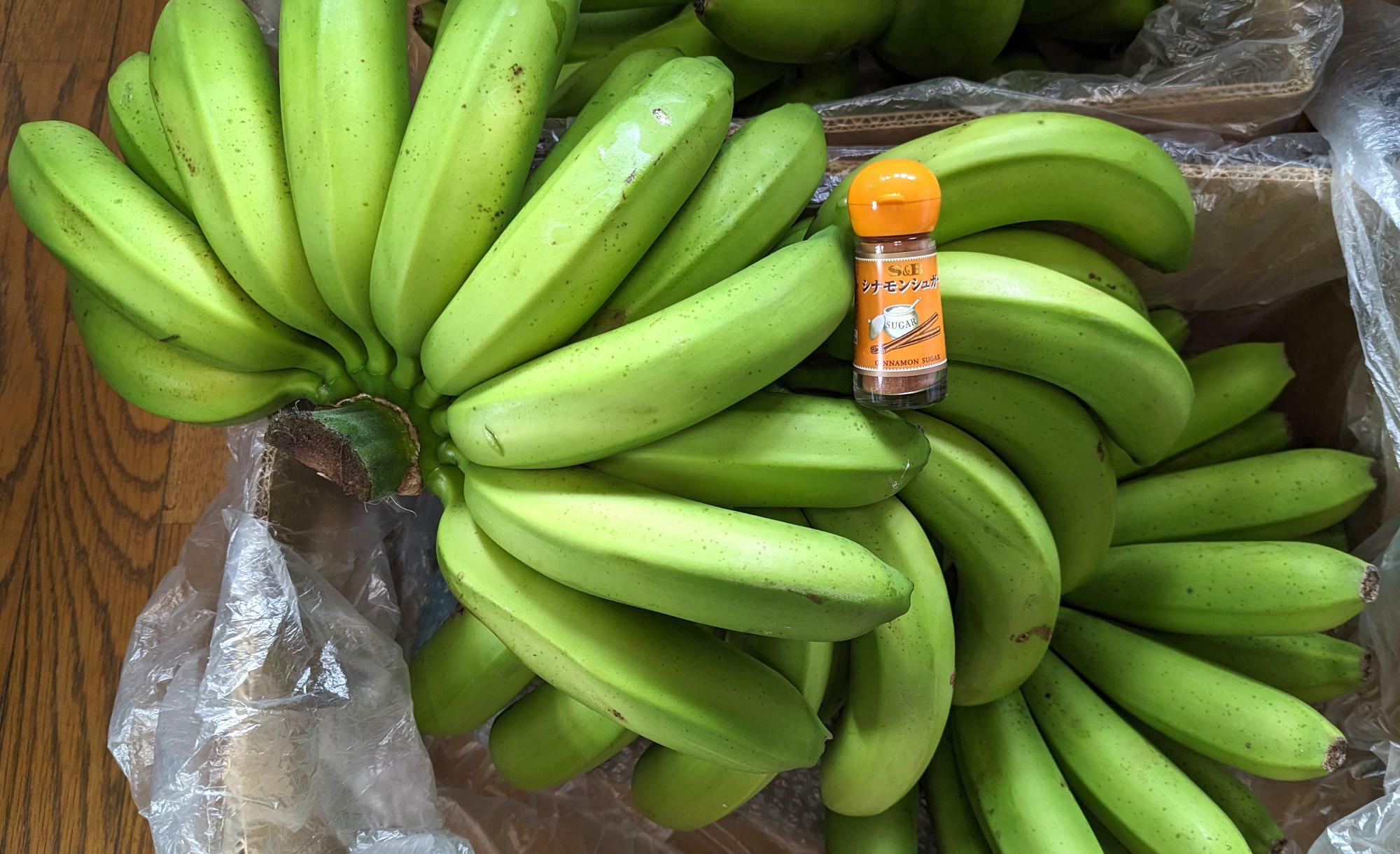 収穫した「からっ風バナナ」スパイスの瓶は大きさの比較用です