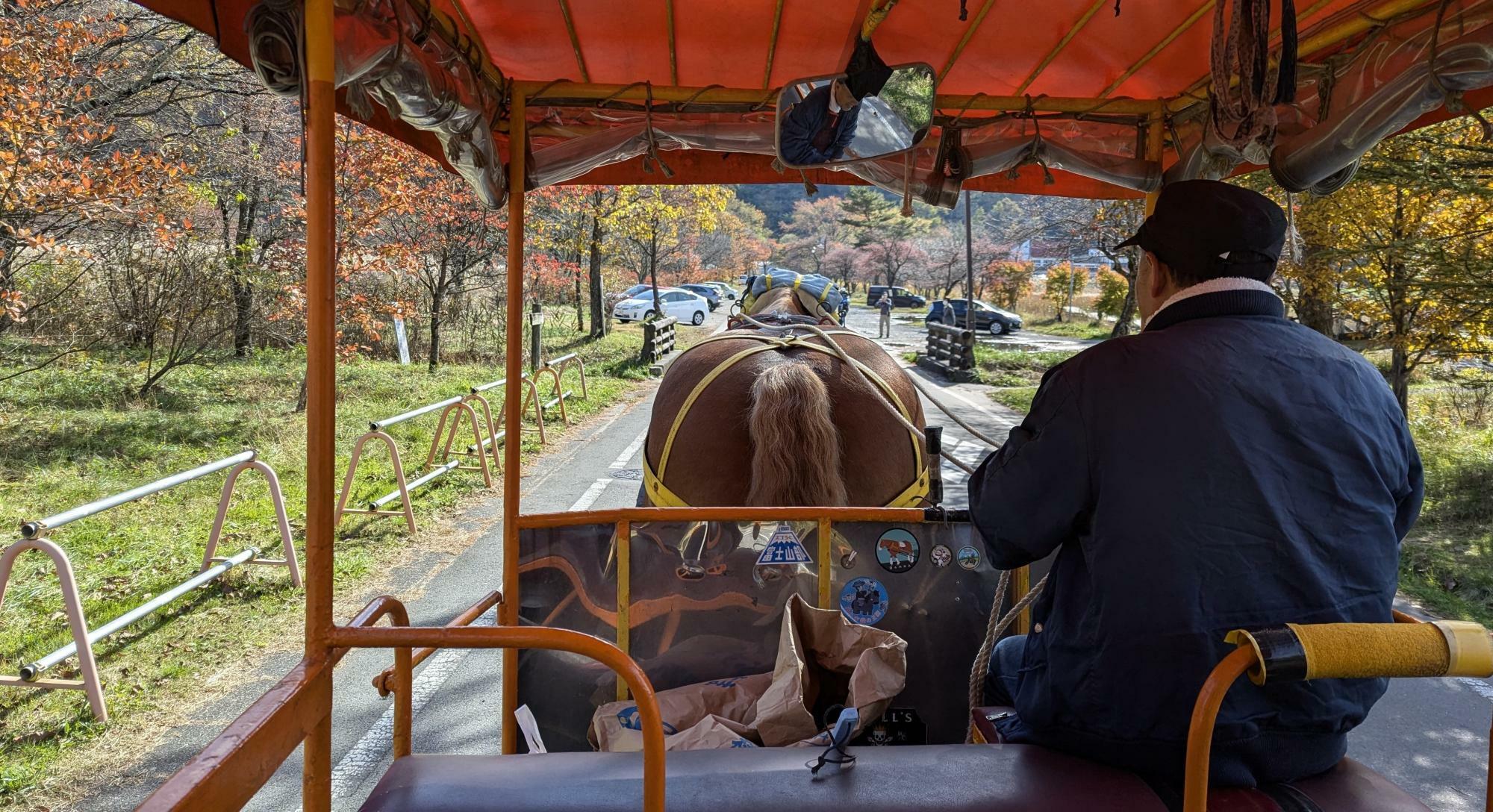 榛名湖遊覧馬車（トテ馬車）