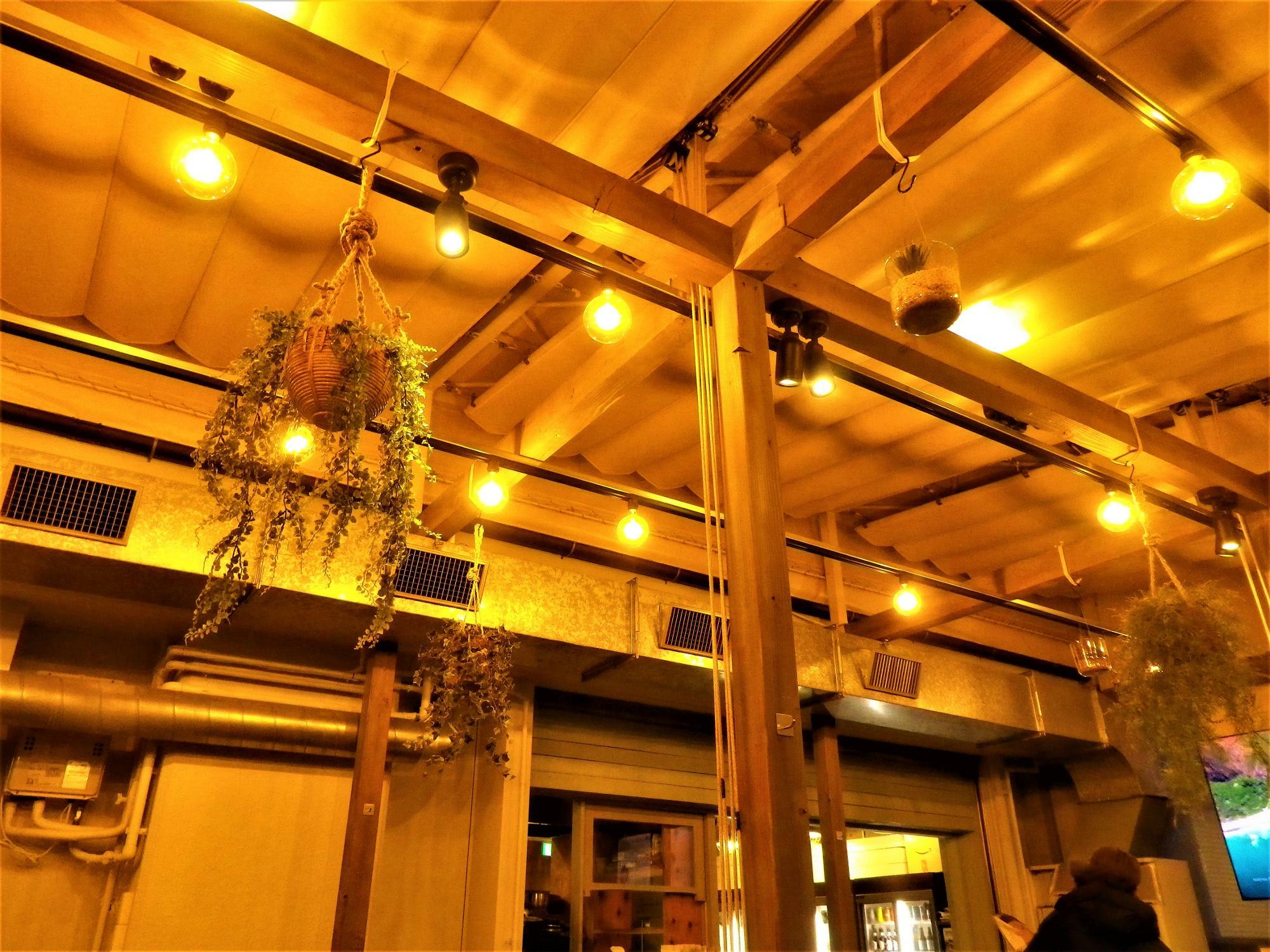 エアープラントのような観葉植物が天井から吊り下げられていました。