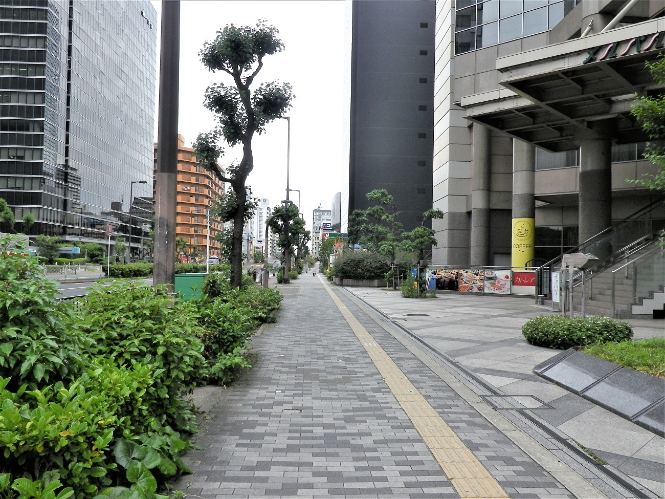 広い歩道ですが、けっこう自転車が通るのでご注意！