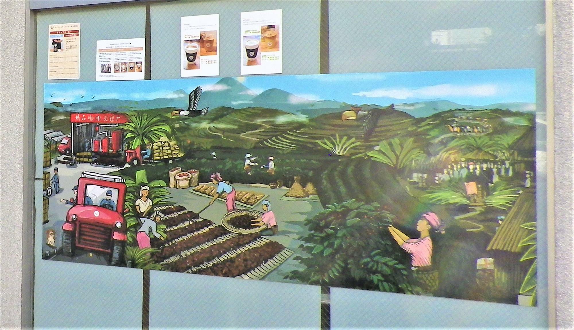 お店のショーウィンドゥには、コーヒー農園のイラストが描かれていました。