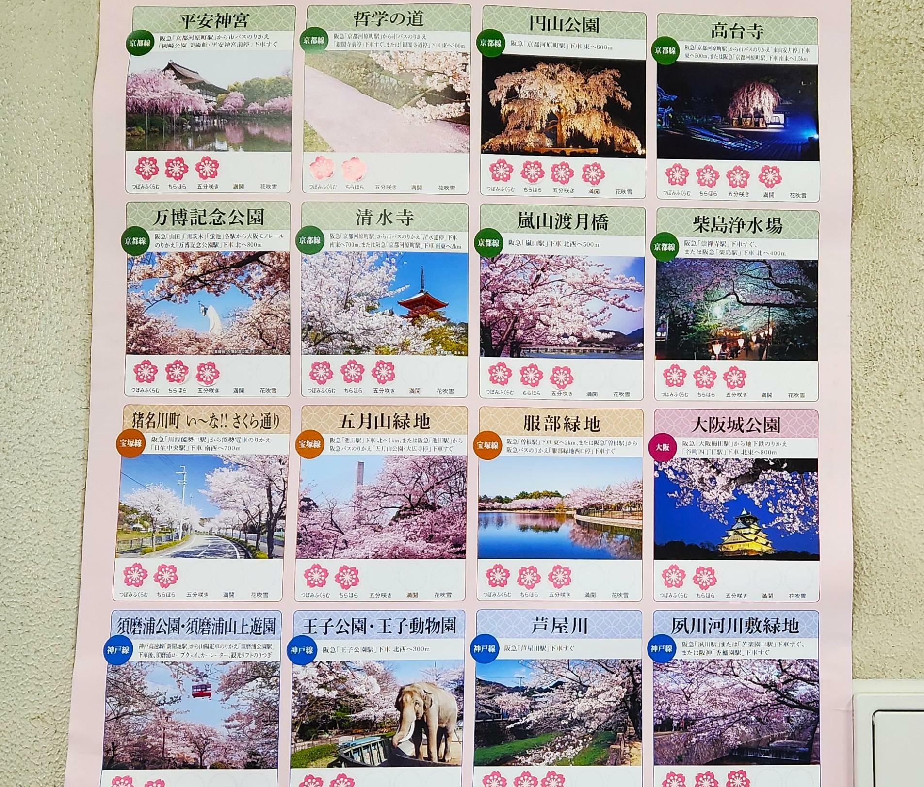 阪急電鉄各駅にある「沿線のお花見スポット」のポスター。