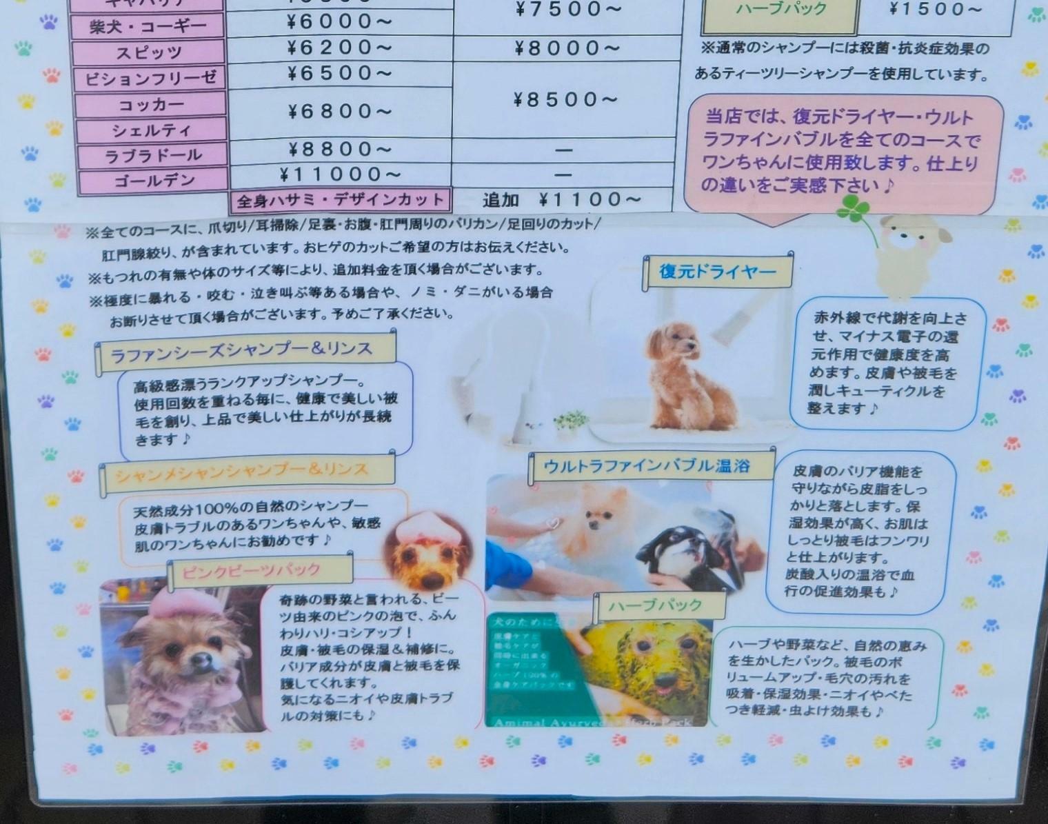 天然成分100％のシャンプーやリンス。