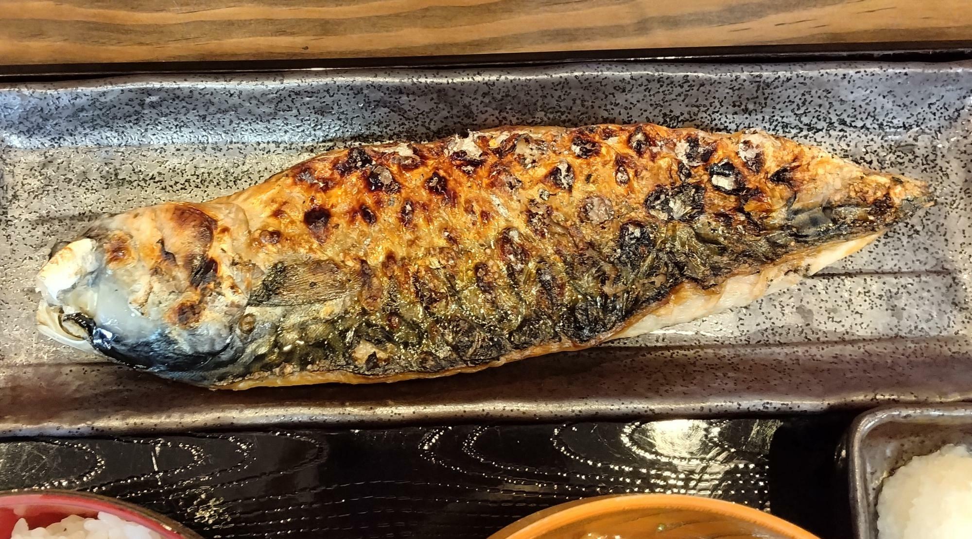 鯖の干物の長さは、だいたい約20cm長。