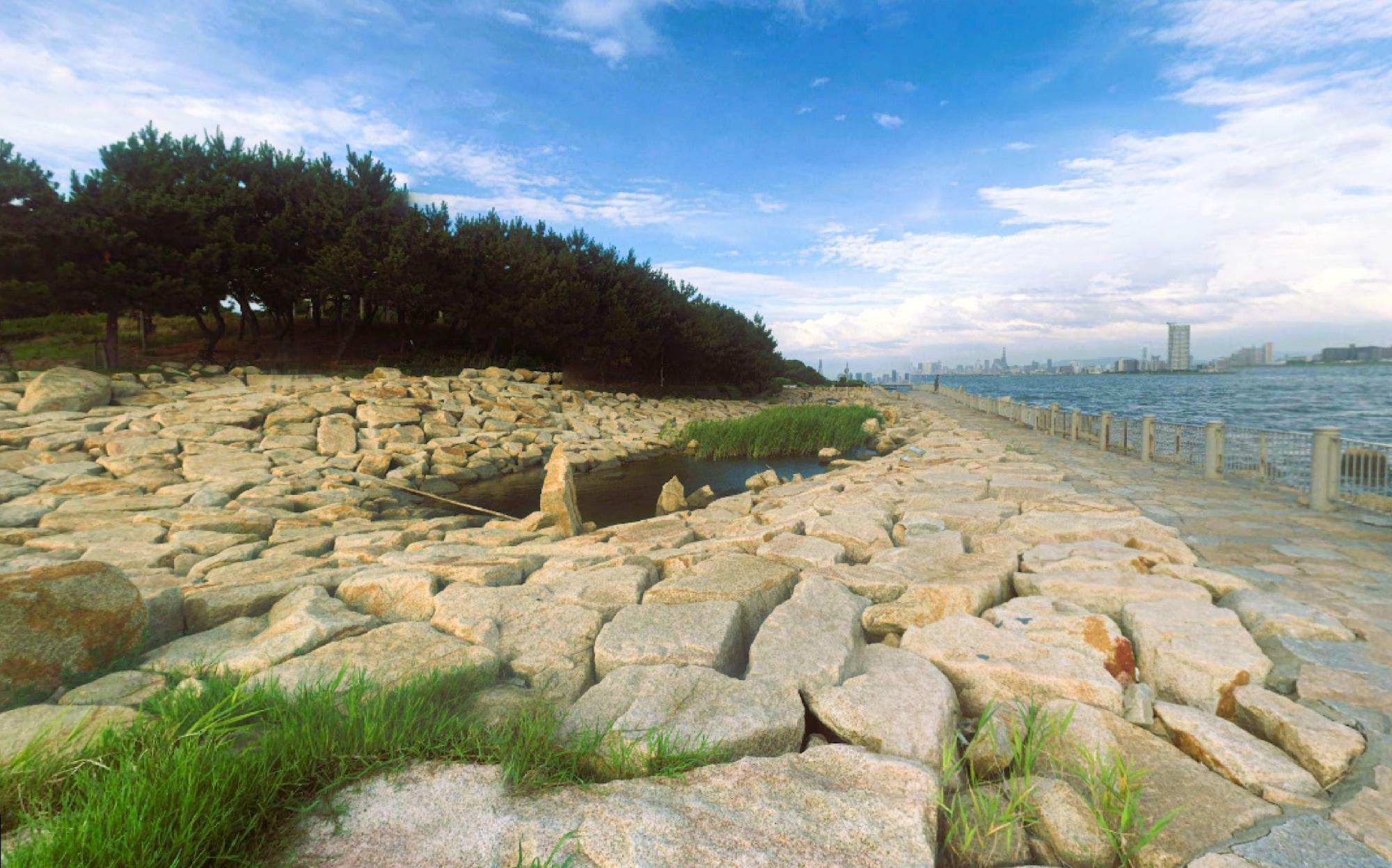 晴れた日には天保山や淡路島も見えるそうですよ。