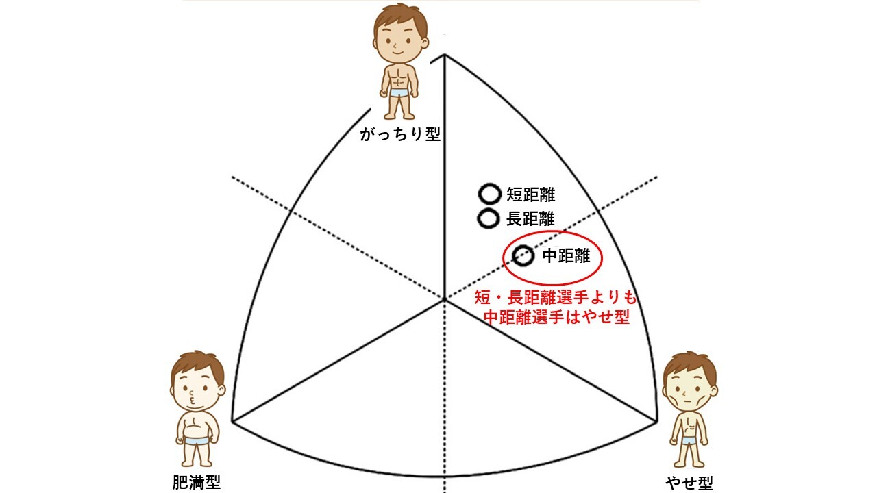 男性ランナーのグループにおける体型の平均