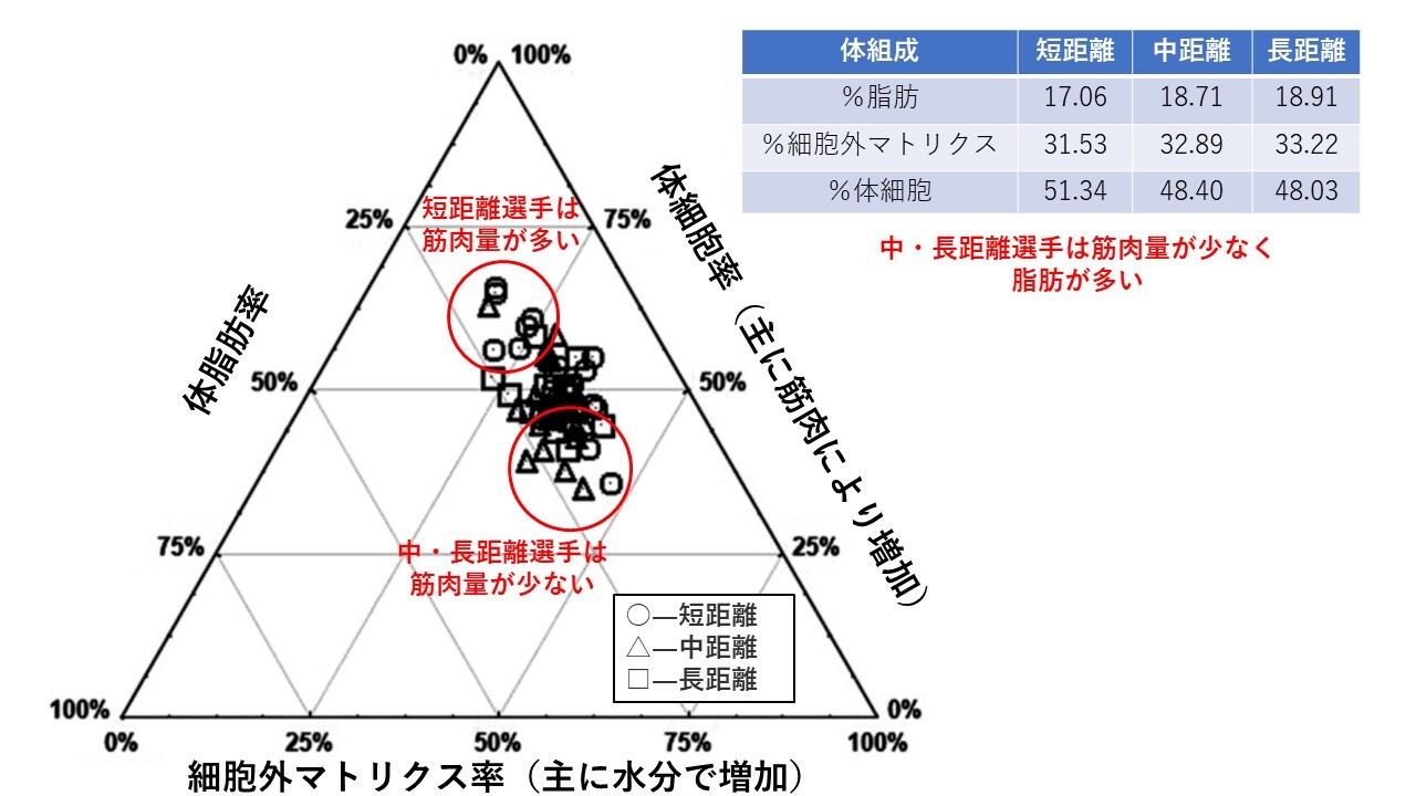 体組成の 3 つの変数のシステムにおけるランナーの分布