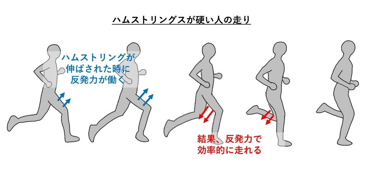 ハムストリングスの硬い人の走り方のイメージ