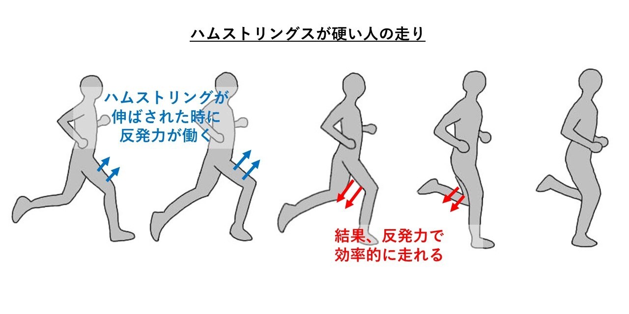 ハムストリングスの硬い人の走り方のイメージ