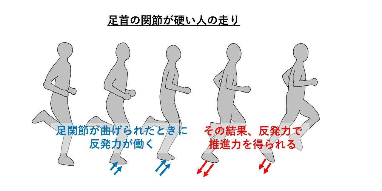 足首の関節の硬い人の走り方のイメージ