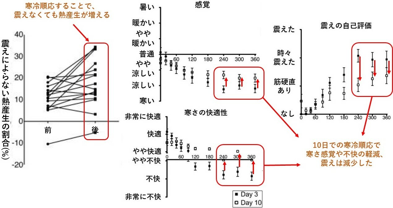 寒冷順応後の震えに寄らない熱産生の変化と、自覚的感覚や震えの変化：Anouk A.J.J. van der Lans,J Clin Invest. 2013