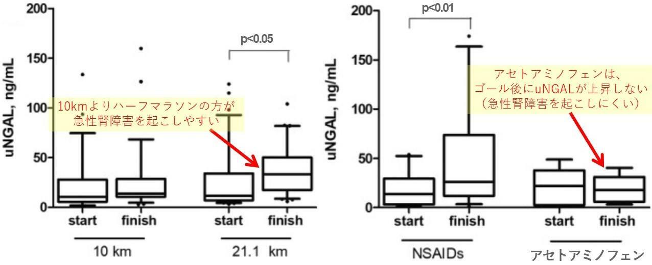 左）10kmとハーフマラソン前後のuNGALの変化、右）鎮痛剤を服用してからのランニング前後のuNGALの変化：Semen KO et al.Scand J Med Sci Sports.2020