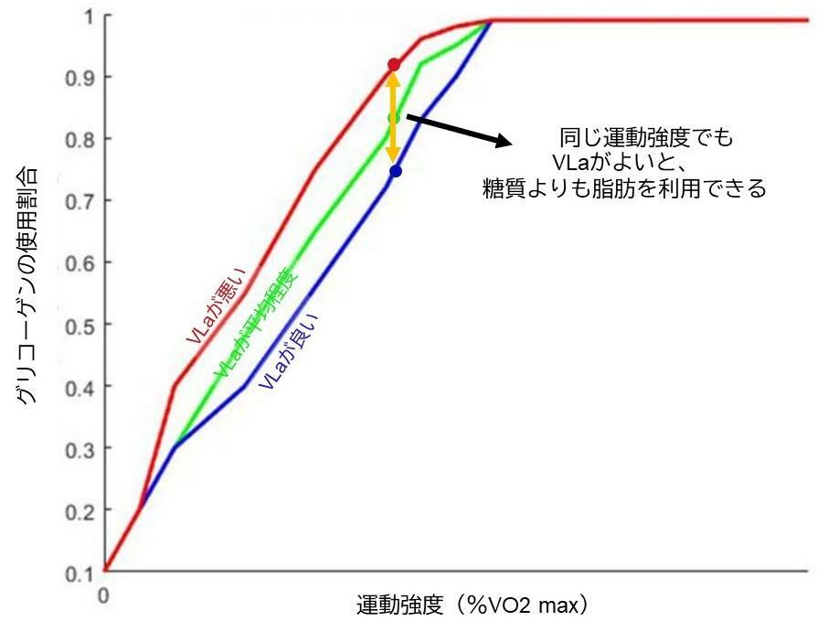 乳酸容量（VLa）の良し悪しによるグリコーゲンの使用割合:Cook C et al.Front Nutr.2023より改