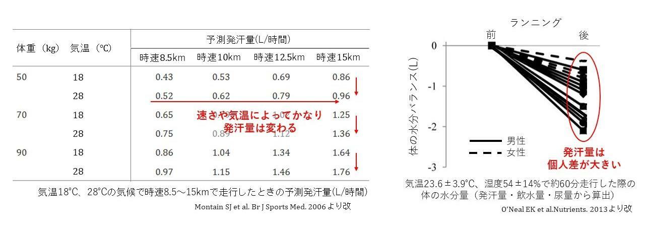 （左）気温18度、28度の気候で異なる速さで走行した時の予測発汗量　（右）気温23.6度の環境下で約60分走行したときの体の水分バランスの変化