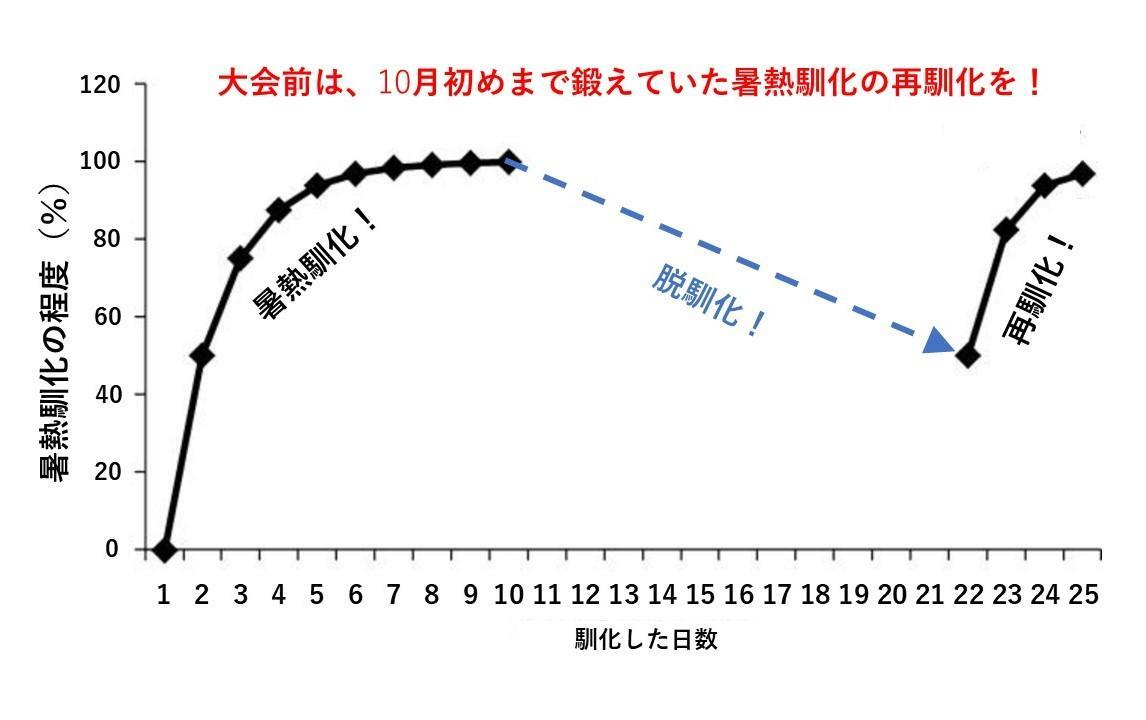 暑熱馴化の脱馴化と再馴化：Daanen HAM et al.Sports Med.2018より改